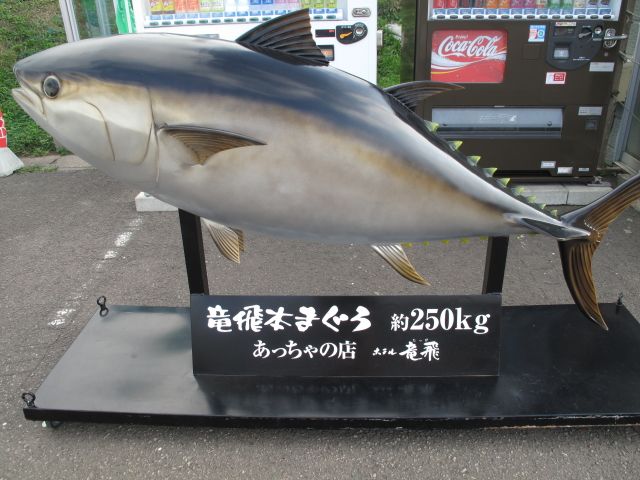 青森と言えば『本マグロ』。他にもイカやホタテなど、海産物が美味しいんです！