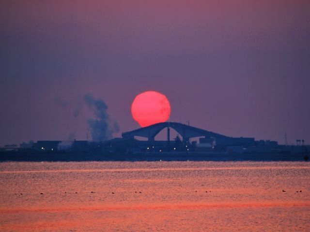 ここ最近TVでも見るようになった珍しい橋☆