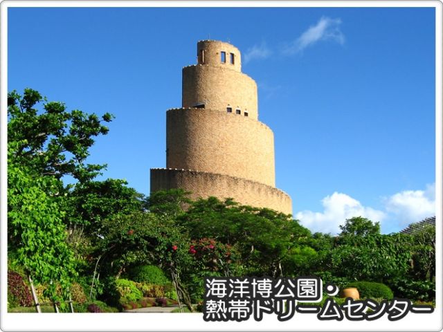 沖縄らしい熱帯の植物が咲き乱れるエリアです♪