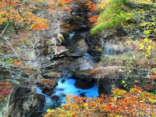今からの時期は紅葉も見れます！