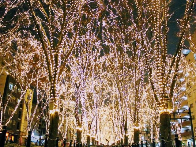 冬は仙台駅付近はライトアップされます♪