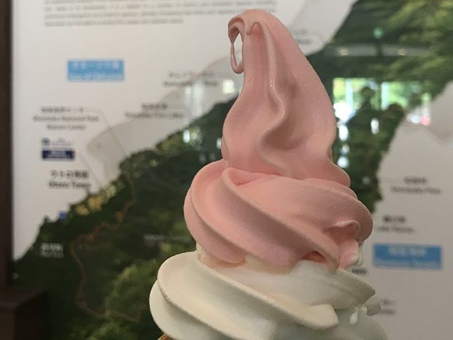 名物こけももソフトに舌鼓