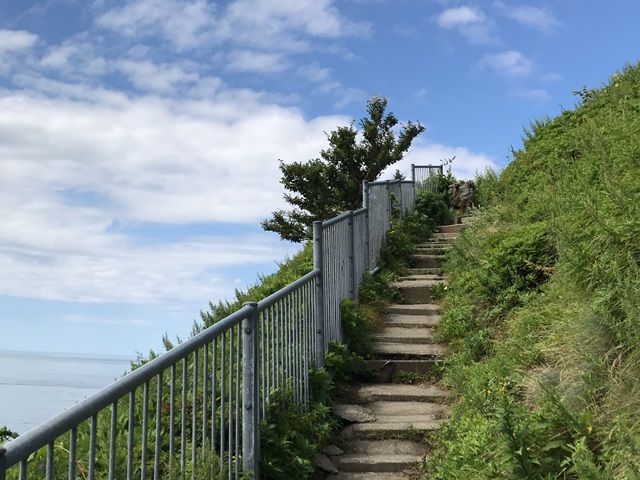 フォトスポット多数