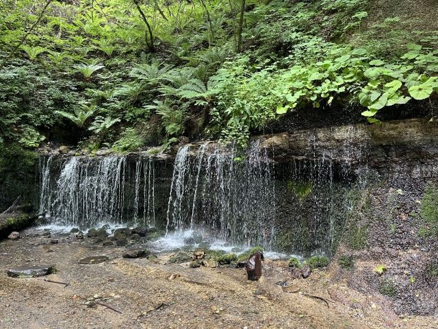 軽井沢は自然も沢山！避暑地です★