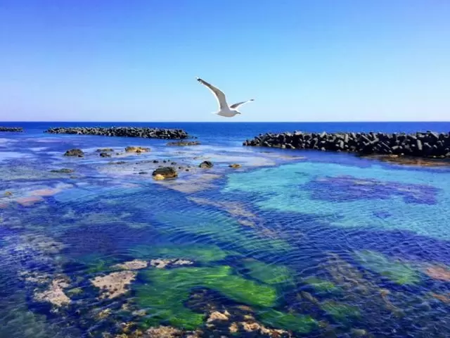 毎年人気の「礼文島」でのリゾバです！