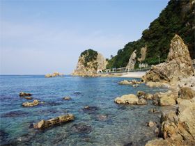 海の幸を楽しめます