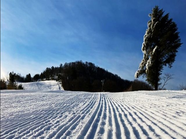 近くにスキー場があるので、休日は滑りに行きましょう♪