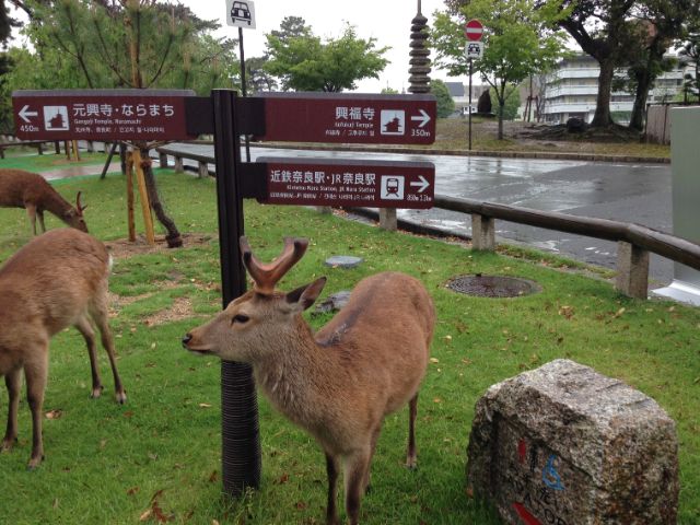 駅からのアクセスが良く便利な生活環境です。