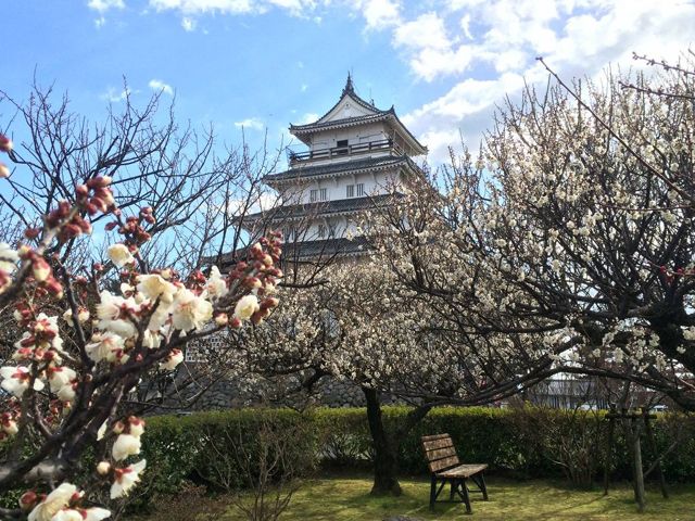 少し足を伸ばして島原へ！