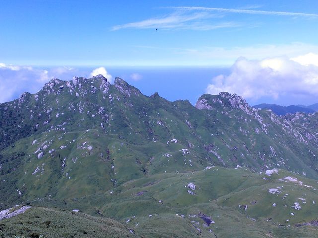 これぞ屋久島！