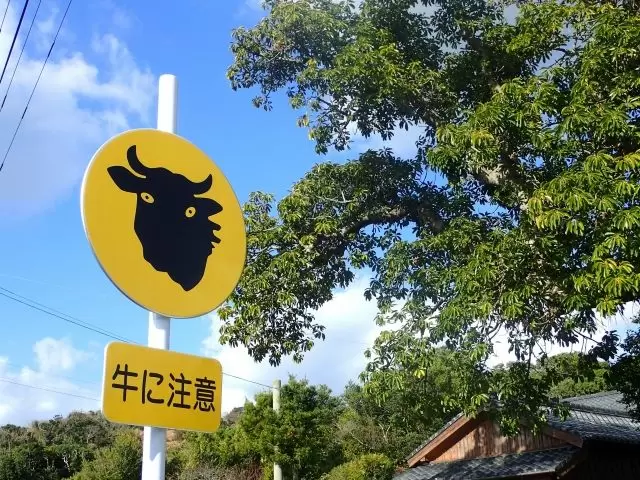 今話題の長崎・離島リゾバ！ＴＶの取材も度々ある人気の観光地です！