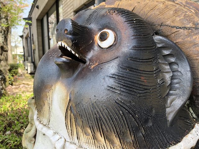 信楽はタヌキの町です。