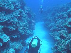 最高の透明度に酔いしれる！