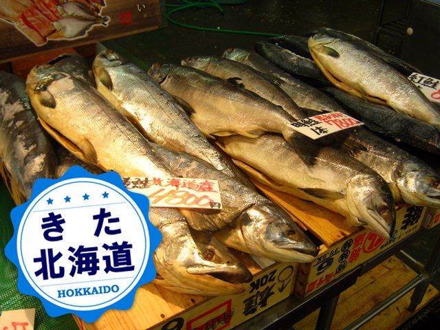 北海道の美味しい食材を使って調理ができる幸せ★