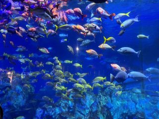 人気のフロント業務！ホテルの顔としてご活躍いただける方を募集しています☆