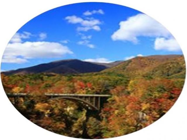 自然豊かで見所満載です！①