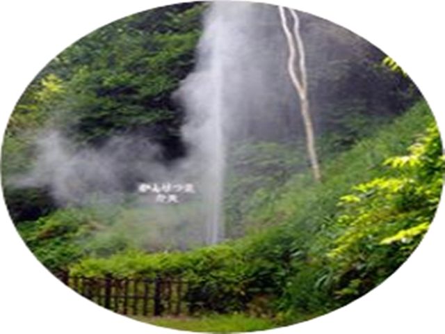 自然豊かで見所満載です！②