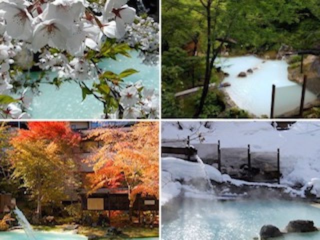 木々に囲まれ自然たっぷり★温泉から四季折々の景色が楽しめます♪