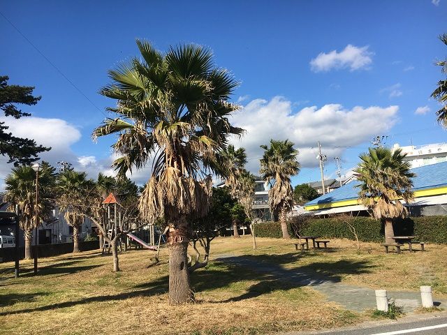 離島特有のゆったりとした時間が流れています♪