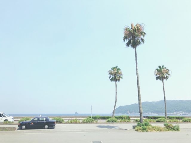 海近で周辺環境めちゃくちゃいいです！