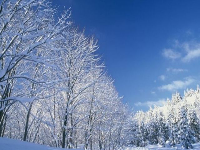 冬は雪も積もります！