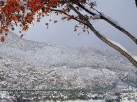 自然に愛されたエリアです！