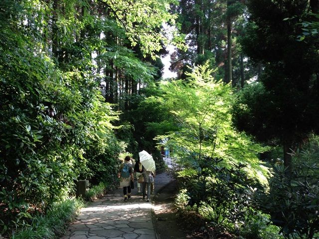 阿蘇山・カルデラ大地。良質な温泉や清水の湧水地など、火山のもたらす恵みがあふれています。