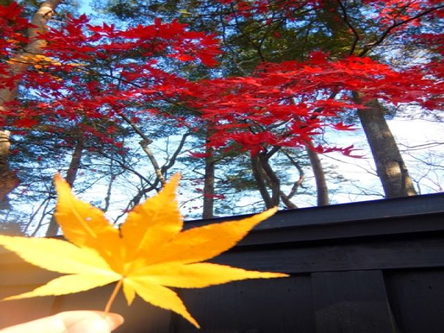 紅葉シーズンは多くの観光客で賑わう鳴子温泉♪アクセスも良いので書く方面の観光もできます★