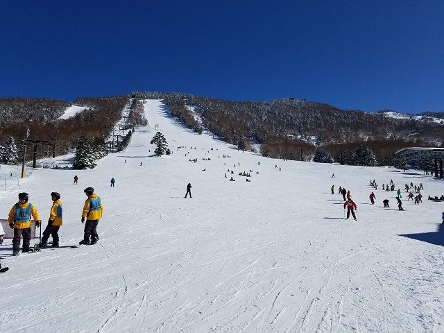 昼間のゲレンデはこのようなイメージです。やはり夜と昼では、印象が違います☆