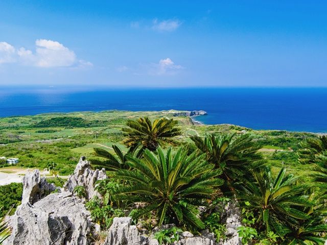 沖縄本島北部は世界自然遺産に登録された“やんばるの森”とも言われている自然豊かなエリア♪
