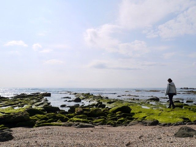 海と山に囲まれた『鴨川』