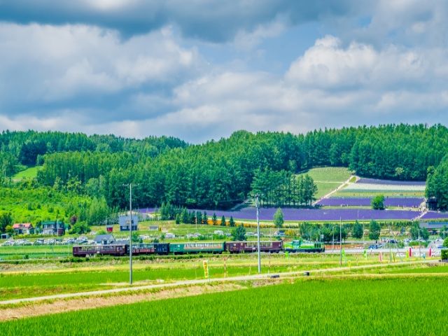 道内随一の観光地「北海道のへそ・富良野」を満喫しよう☆