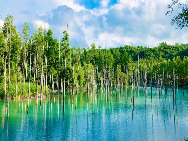 美瑛などの絶景観光地も近いのでプライベートも充実間違いなし(^^)/