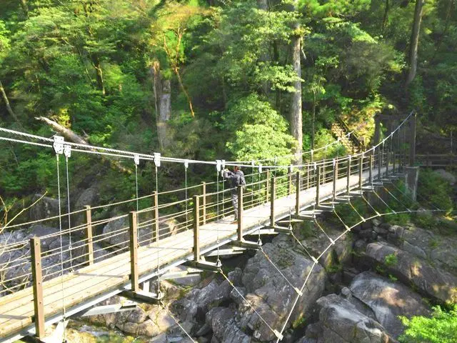 鹿児島県 屋久島 清掃 (53360) のリゾートバイト求人情報 - リゾバ.com