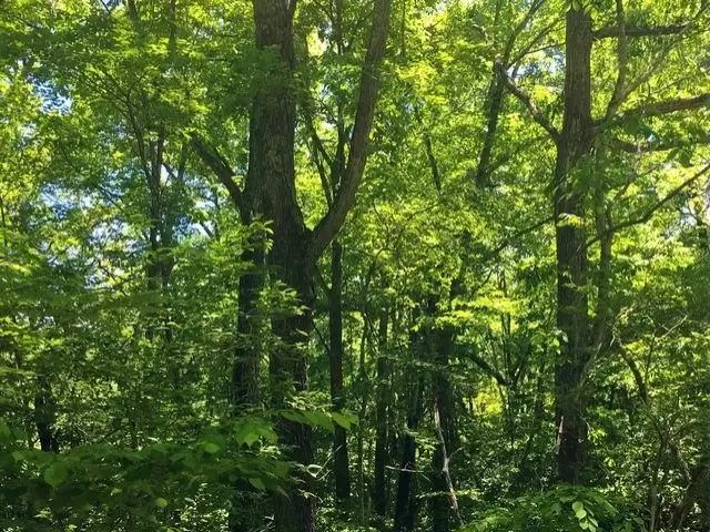 森に囲まれた隠れ家のような小民家カフェでのお仕事!
