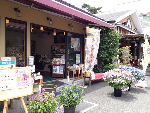 風情溢れる街並で～す！