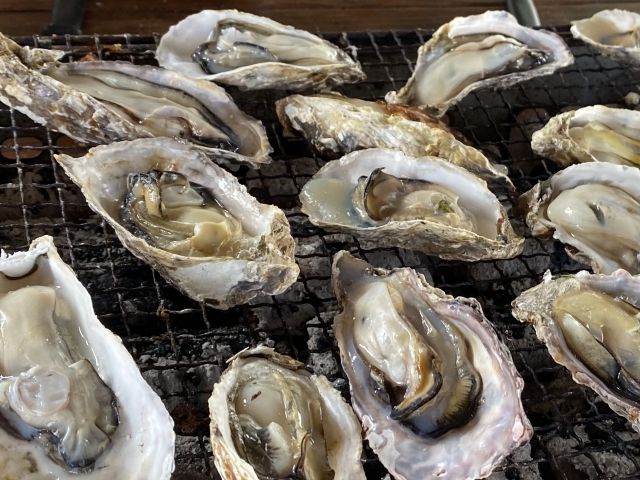 機会あれば名物牡蠣をご賞味ください！！
