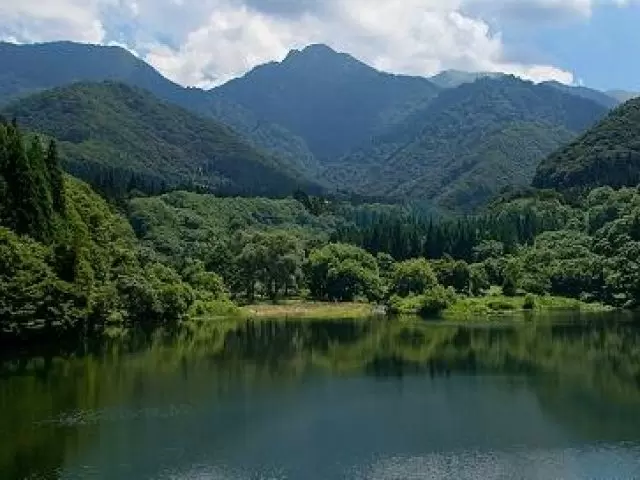 新緑に囲まれた自然豊かな環境です♪