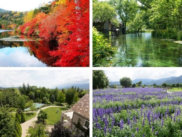 自然を体感出来る観光スポットも沢山♪
都会の喧騒から逃れ自然に癒されたい方にオススメ！