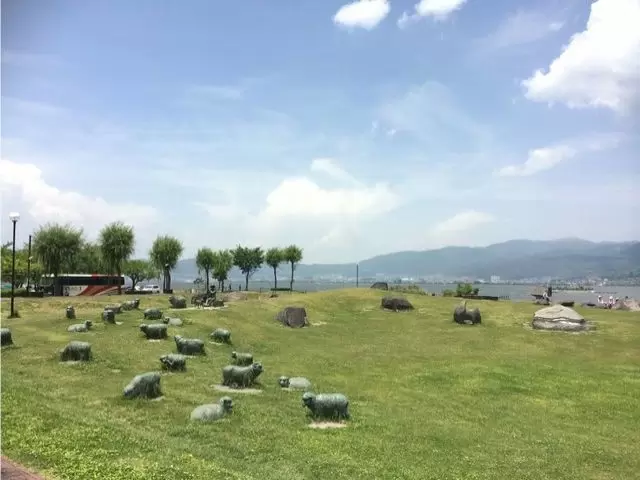 自然あふれる諏訪湖