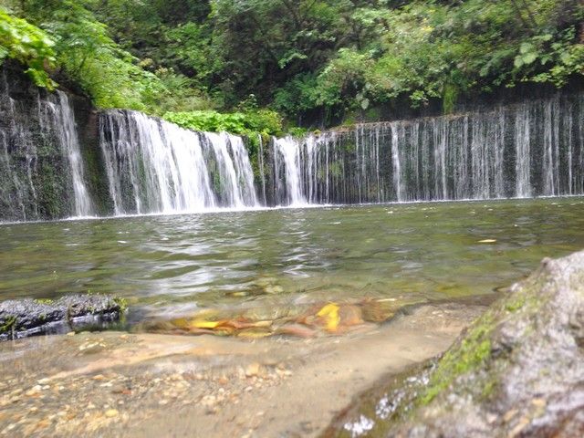 有名な「白糸の滝」★距離はありますが機会があれば是非行ってみてください！