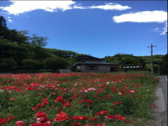 周辺は自然豊か！！
