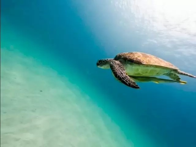 ザ・沖縄なビーチが目の前に♪