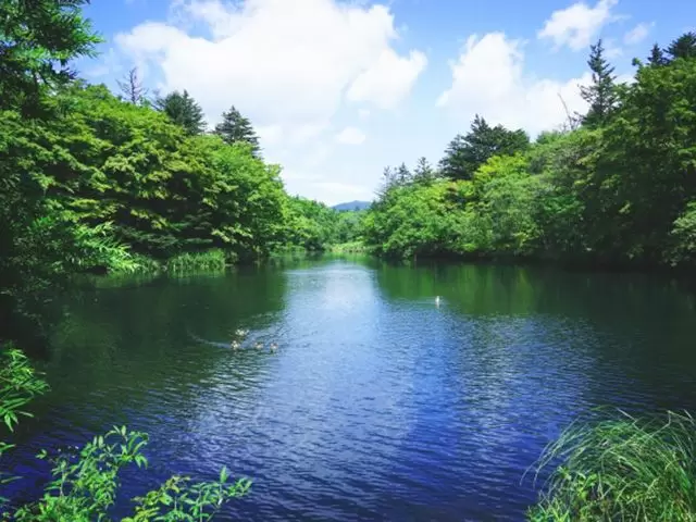 緑豊かな軽井沢