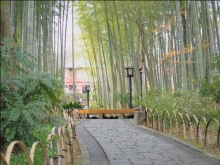 【完全個室！・満了手当て有！】隠れ家的な高級旅館で人気の仲番のお仕事です！
