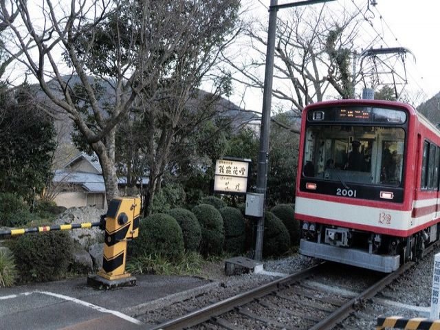 復旧した「箱根登山鉄道」をご利用ください。