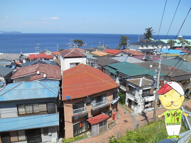 高台から見た街は景色が綺麗なんです。晴れた日には富士山も顔を出してくれます。