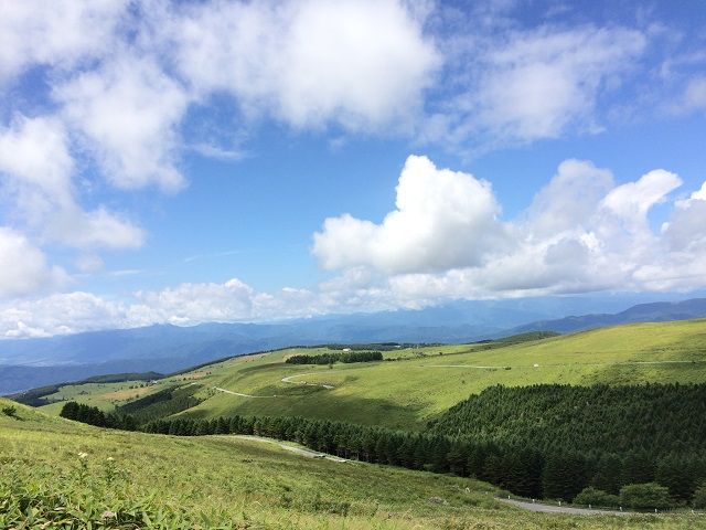 自然豊かな蓼科高原