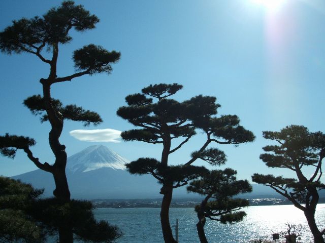 短期のお仕事で集中的に稼ぎ希望の方！お待たせいたしました！