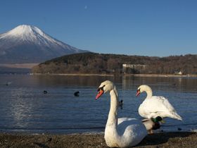 圧巻の富士山☆